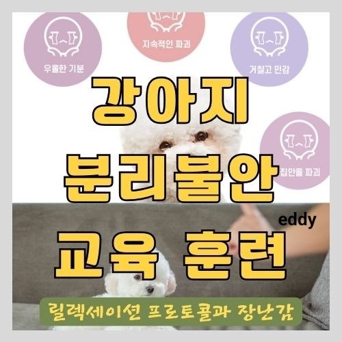  강아지(애견) 분리불안 해소를 위한 릴렉세이션 프로토콜과 장난감을 이용한 솔루션 - 행동학 수의사가 알려주는 방법
