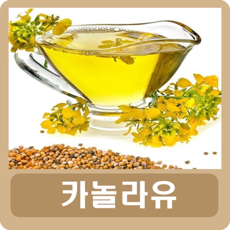  카놀라유 부작용 유통기한 칼로리 정리