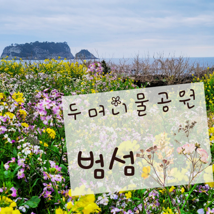  제주 법환 두머니물공원 유채꽃 산책하기 제주 남쪽 최고의 범섬