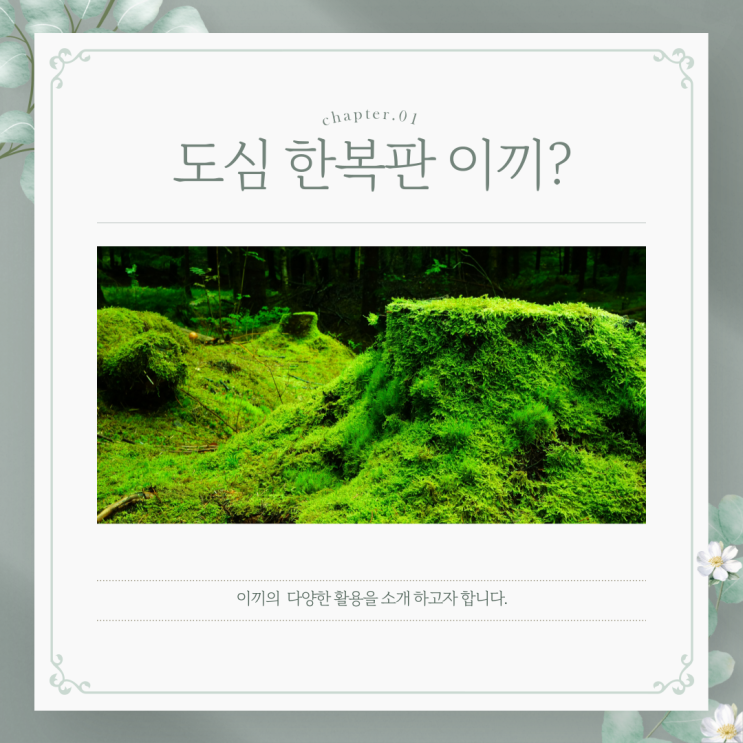  서울 도심 한복판에 이끼가?