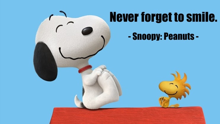 인생, 행복, 친구, 우정에 대한 만화 피너츠의 스누피(Snoopy) 명대사 모음 - 1