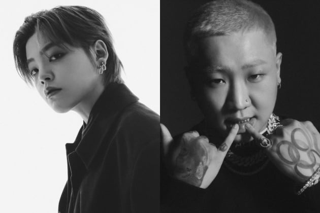 <b>구스범스</b>, <b>노엘 주먹</b> 폭행 사과 "흥분 참지 못하고 휘둘러"