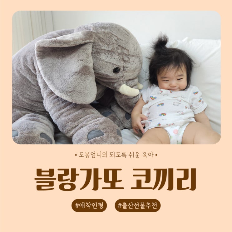  블랑가또 코끼리 특대 내돈내산 애착인형 아기반응 핫딜 건조기 후기