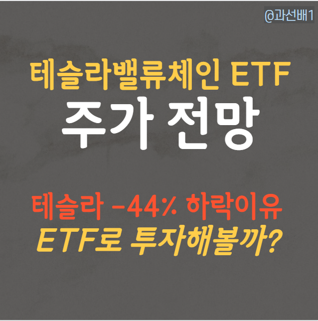 ACE 테슬라밸류체인액티브 ETF - 테슬라 주가 하락 이유