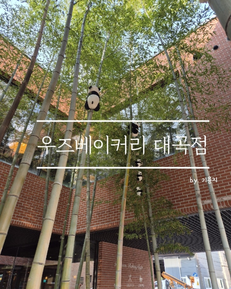  [달서구 대형 베이커리 카페] 수목원 근처 우즈 베이커리 대곡점
