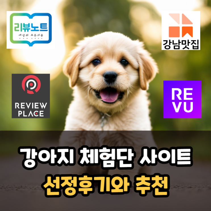강아지 체험단 사이트 추천(리뷰노트, 강남맛집, 레뷰 선정 후기)
