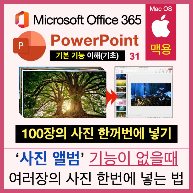 맥북 파워포인트(PPT)에서 여러 장의 사진을 일괄적으로 넣는 법(키노트 활용과 디자이너) 맥북 파워포인트(PPT)에서 여러 장의 사진을 일괄적으로 넣는 법(키노트 활용과 디자이너)