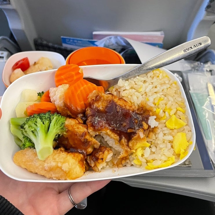  Eva air 에바항공 김포-타이베이 송산 BR155 기내 및 해산물 특별 기내식 후기