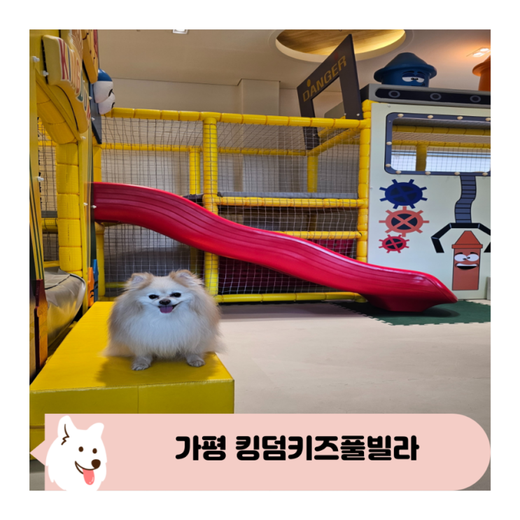  가평 킹덤키즈풀빌라 애견동반 가능 키즈펜션 방문 솔직 후기