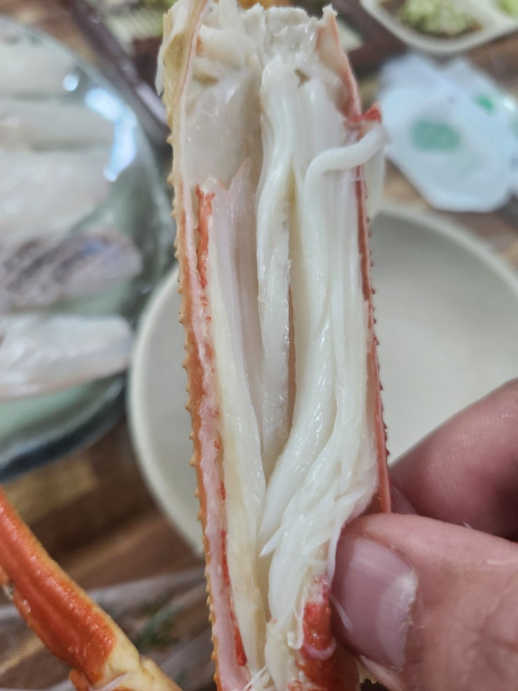  외옹치항 대게 매운탕 드디어 찾은 속초 맛집