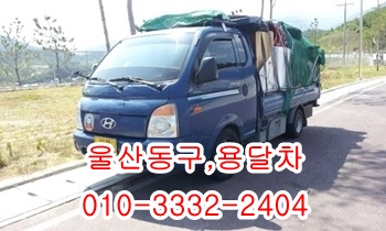  울산동구용달 주전 정자 방어진 제주도 울릉도 양남 감포.