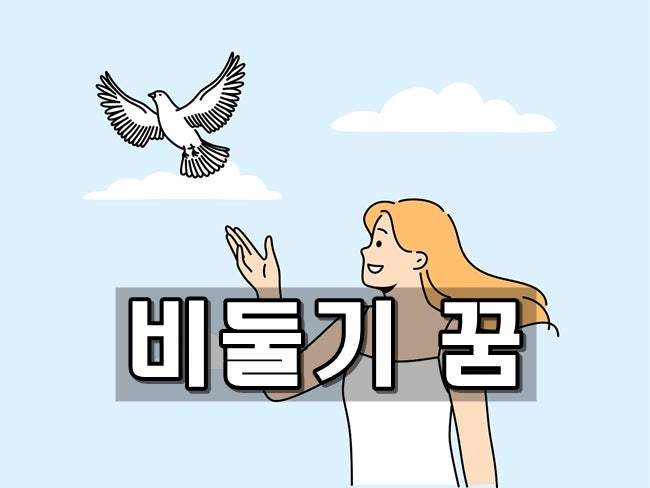 비둘기 꿈, 이 꿈의 해몽은? #나오는 #하얀