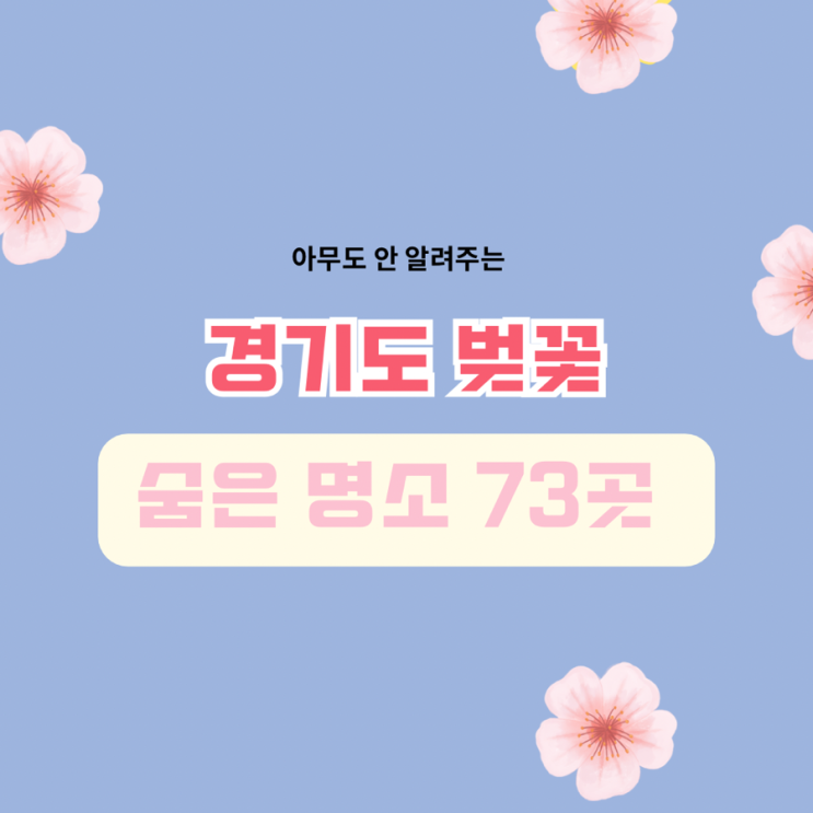  경기도 벚꽃개화시기 숨은 명소 73곳