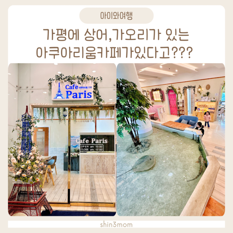  아이와가평여행 가볼만한곳 상어 와 가오리가 카페에??