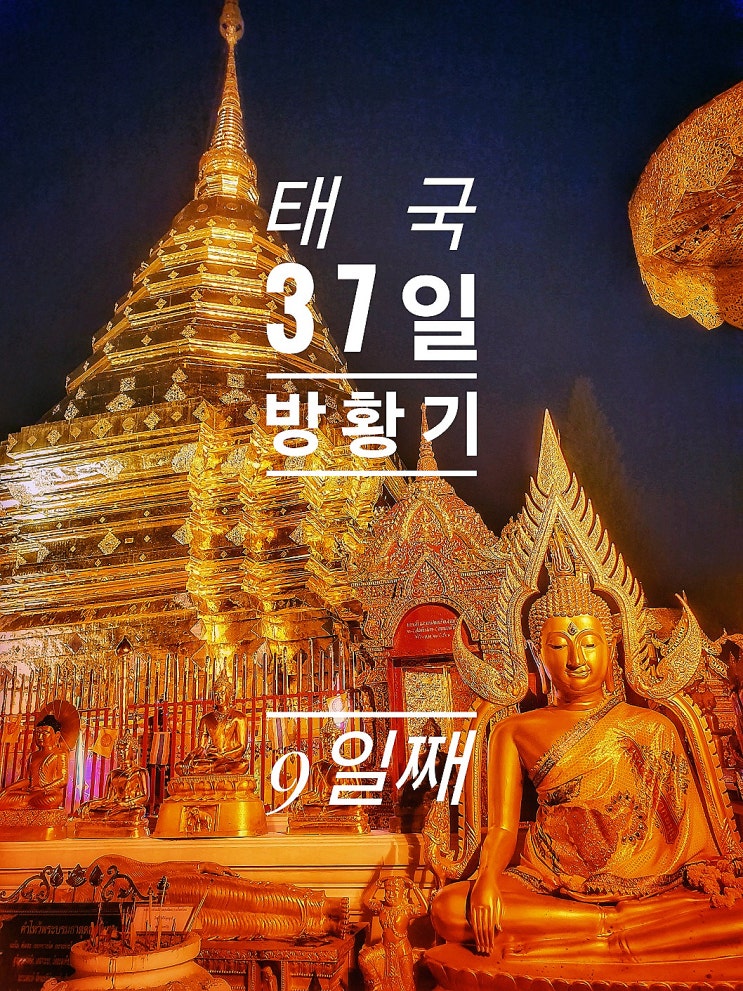  [태국 37일간의 방황기] 9일째 코인 세탁방 No.39 cafe 왓 우몽 도이수텝 왓 록 몰리 창푸악야시장