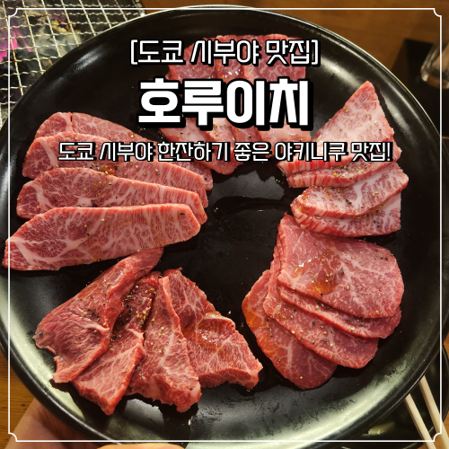  시부야 맛집 추천 호루이치 예약 방법은 야키니쿠