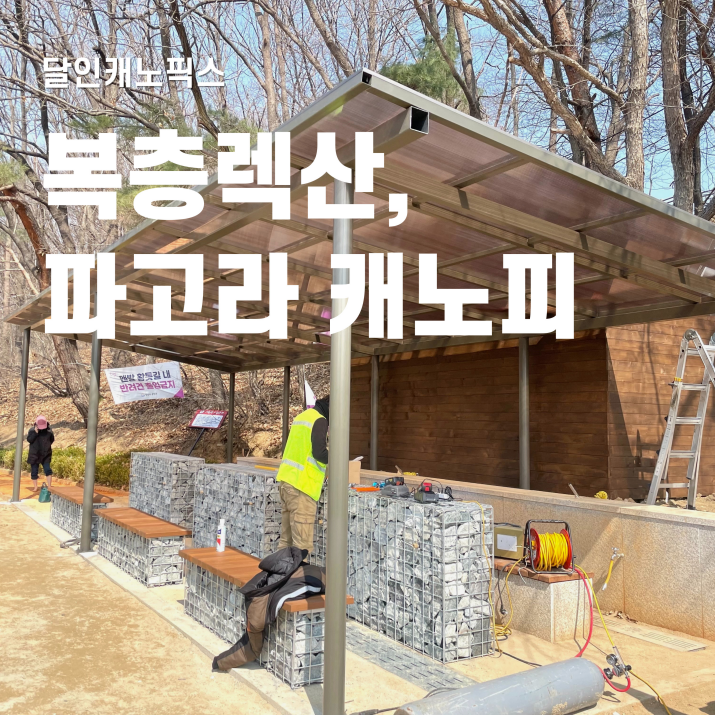  복층렉산 디자인 및 특징 빠르게 살펴보기
