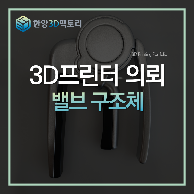  밸브 구조체