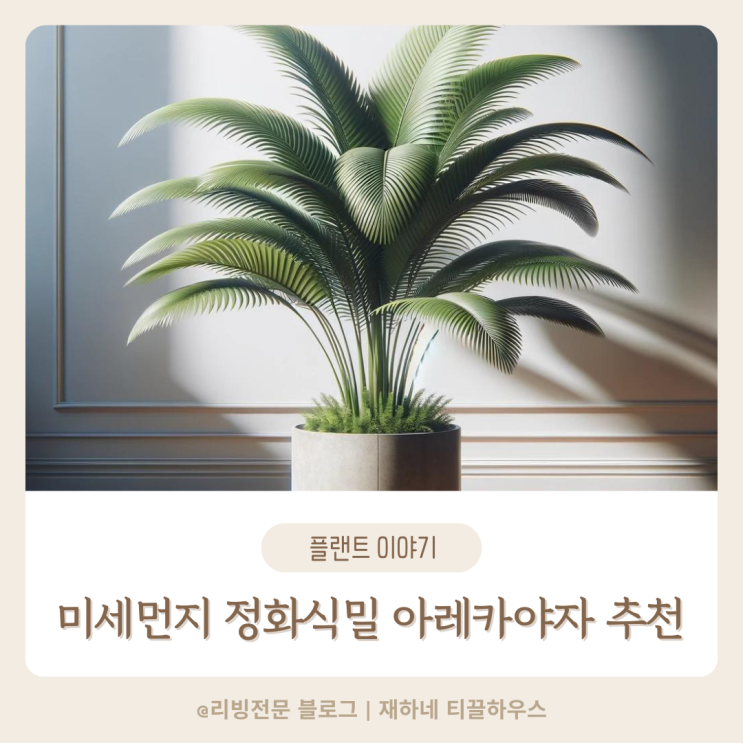  미세먼지 정화식물 추천 아레카야자 키우는 방법