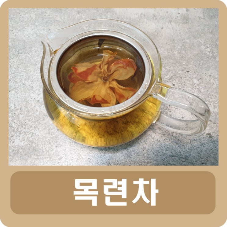  목련차 효능 부작용 완벽 정리