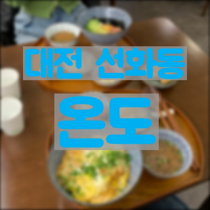  대전 선화동 맛집 추천 한끼 든든하게 먹기 좋은 덮밥집, 온도