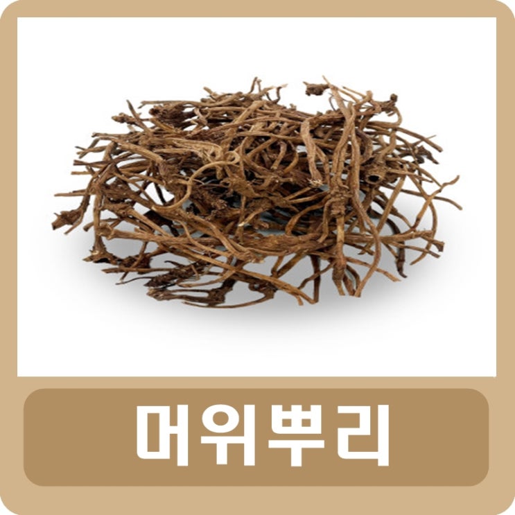  머위뿌리 효능 부작용 빠른 정리