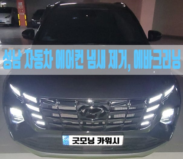  차량 에어컨 냄새 제거 성남 투싼 에바크리닝 과정