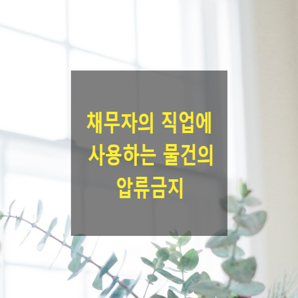  채무자의 직업에 사용하는 물건의 압류금지