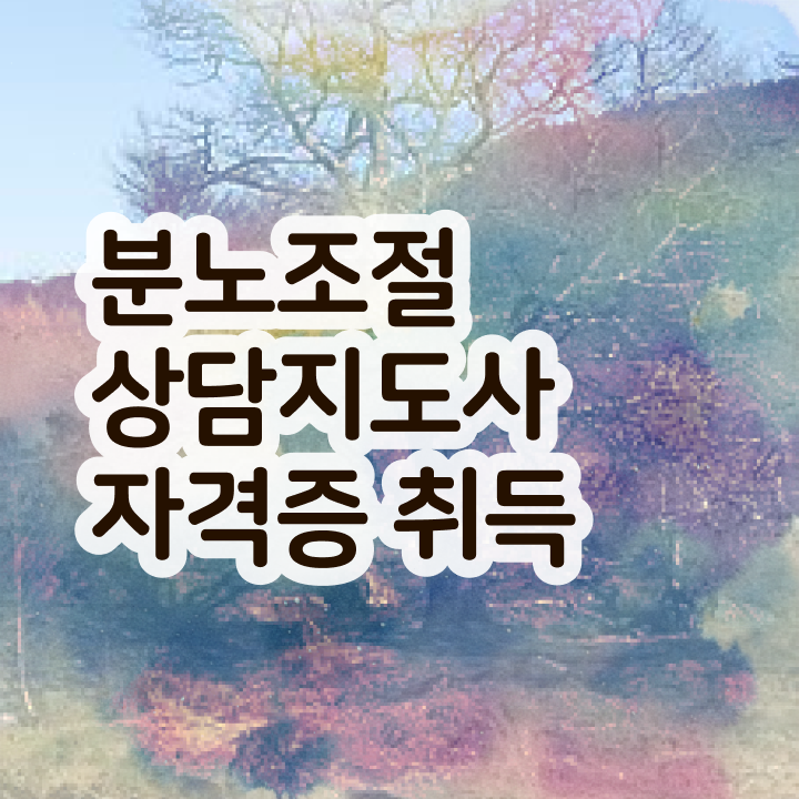 분노조절상담사1급교육원분노조절상담지도사 준비 방법  정보 이모저모 ~