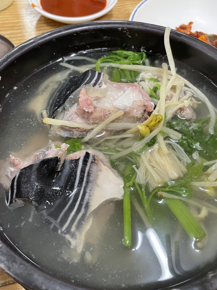  부산 워케이션 여행(1) 다원식당 복지리 맛집 또간집