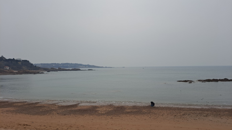  [Shortence] 의료기기 위험관리 파일(ISO14971:2019) 컨설팅 진행