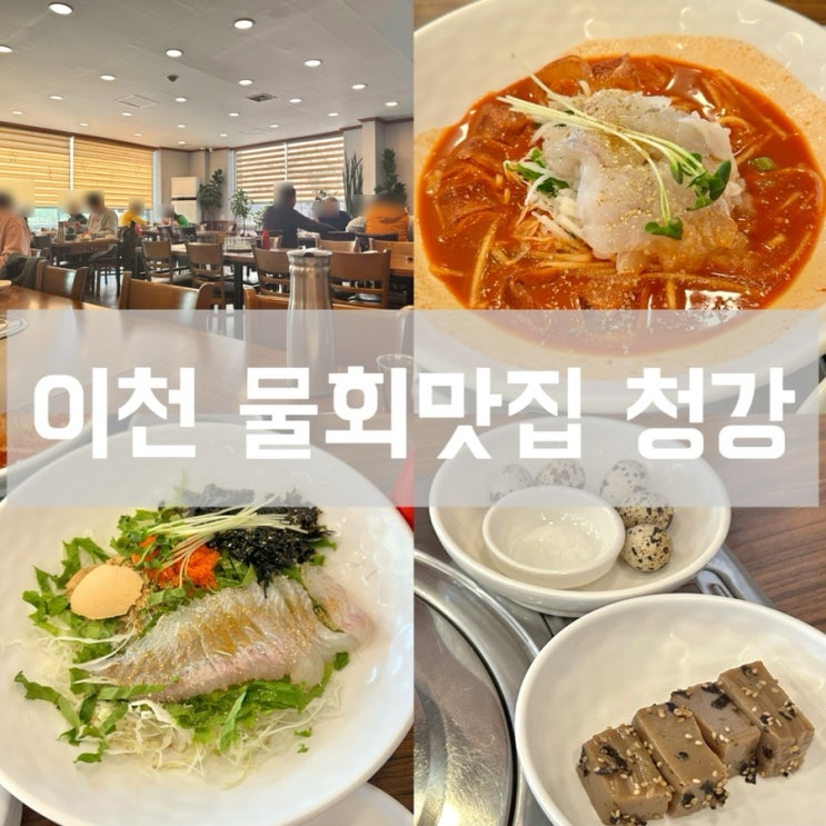  경기 이천 청강 점심 맛집 추천 하이닉스 근교 물회 회덮밥 내돈내산