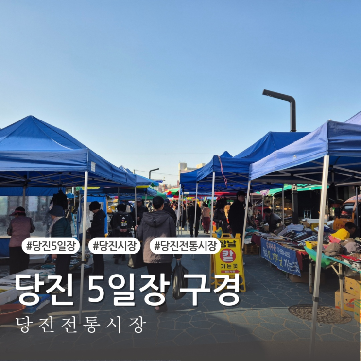  당진시장 5일장 구경하기