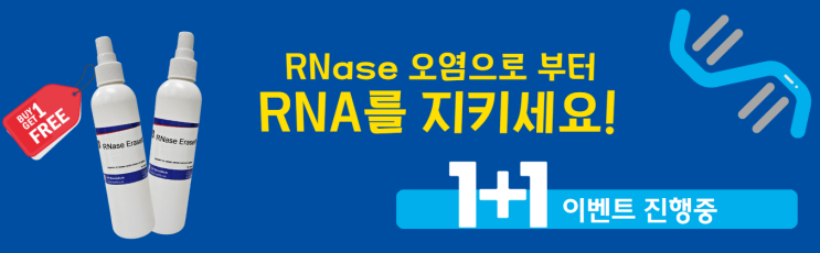 프로모션 : RNase Erase - RNA 실험의 적, RNase를 제거하세요!