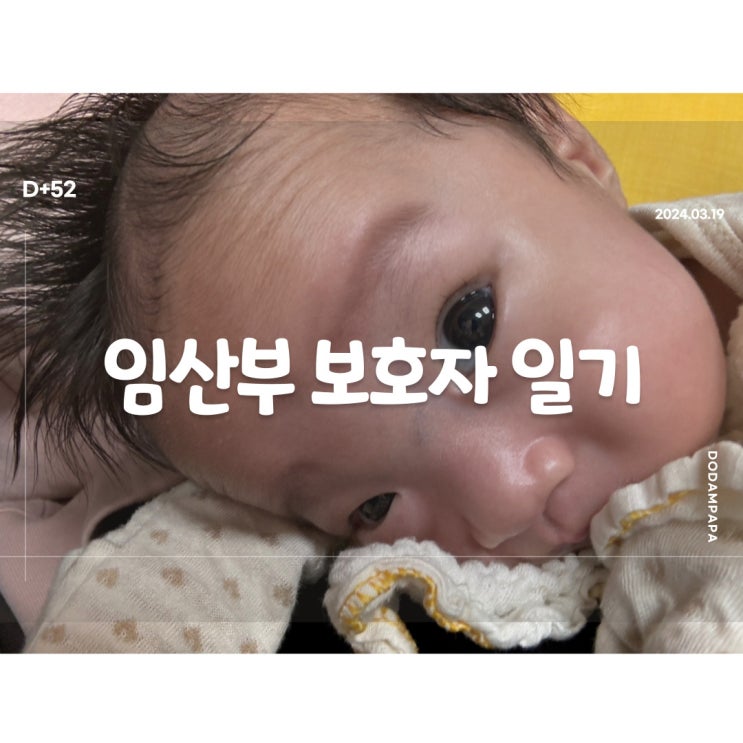 2024.03.20 임산부 보호자 일기 D+52일 2024.03.20 임산부 보호자 일기 D+52일