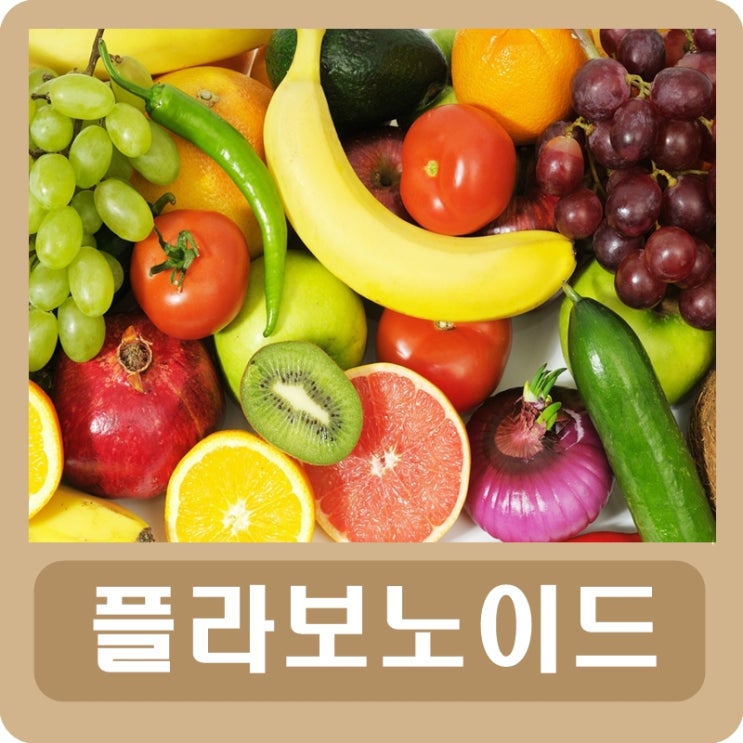  플라보노이드 효능 완벽 정리