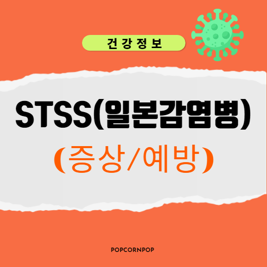  STSS란? 일본 감염병 연쇄상구균 독성쇼크증후군 증상과 전염성 예방하기