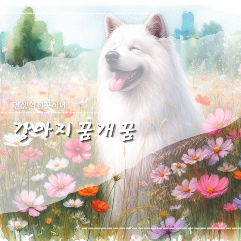 하얀 강아지꿈 개꿈 해몽 10가지