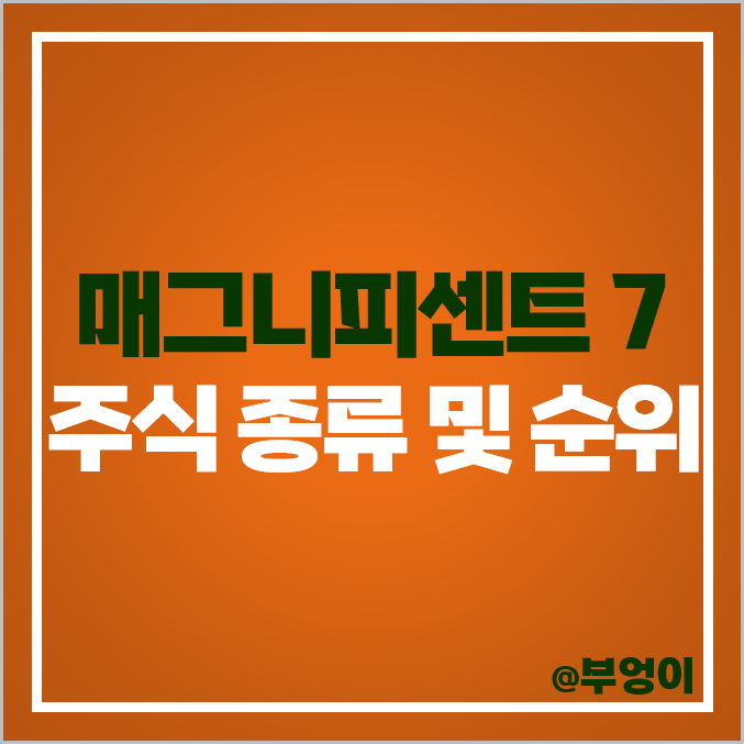 매그니피센트 7 주식 종류 마이크로소프트 주가 테슬라 아마존 애플 엔비디아 목표주가 매그니피센트 7 주식 종류 마이크로소프트 주가 테슬라 아마존 애플 엔비디아 목표주가