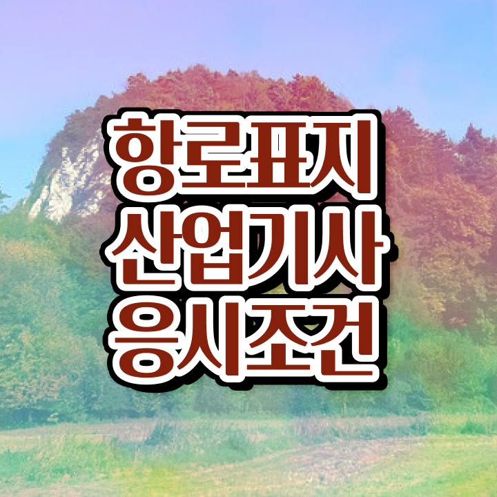  항로표지산업기사 필기과목  항로표지산업기사  궁금하셨다고요