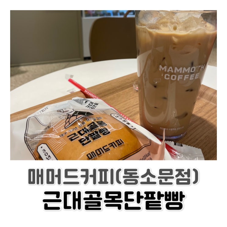  [성북구 카페] 맛도 가격도 훌륭한 카페 매머드 커피 (근대골목단팥빵 리뷰)
