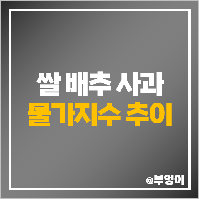 역대 쌀 배추 사과 가격 소비자 물가지수 추이 연도별 월별 값 역대 쌀 배추 사과 가격 소비자 물가지수 추이 연도별 월별 값