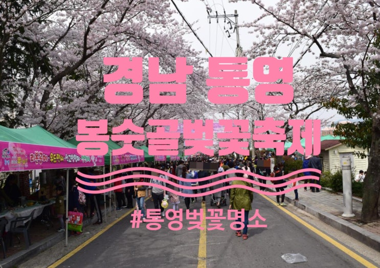  <경남 통영> "2024년 통영 봉숫골 꽃나들이 축제" 축제 연기+ 행사 일정, 주차