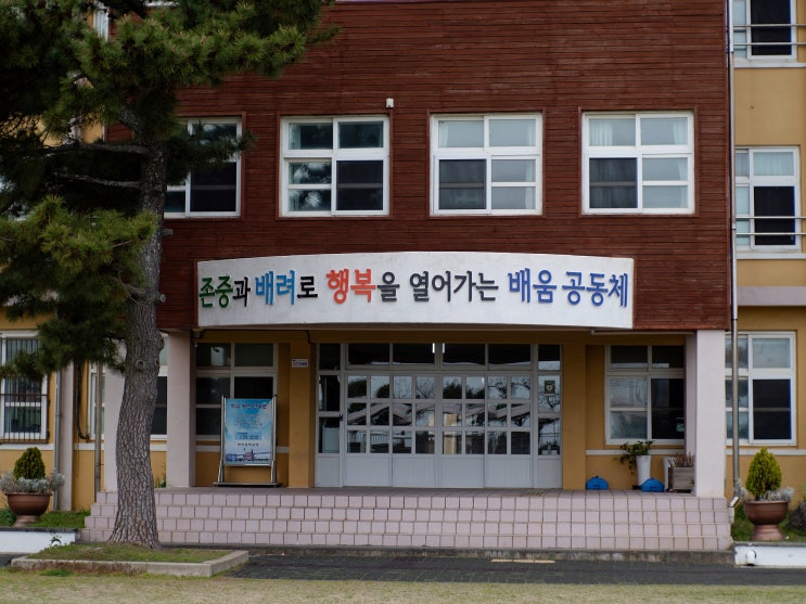  (2024.03.18) 동네 산책하다가 발견한 특이한(?) 중학교