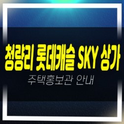  03-20 청량리역 롯데캐슬 SKY L-65 전농동 상가 메디컬 프라자신축상권 잔여호실 모델하우스