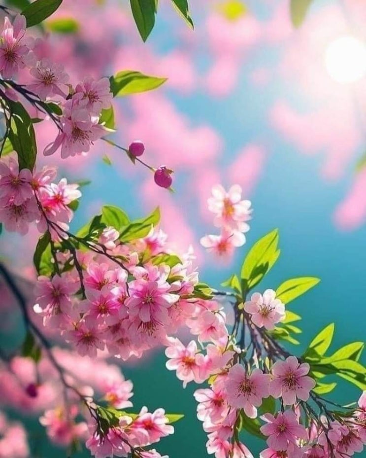   오늘의 생활정보 (2024-03-20, 수)