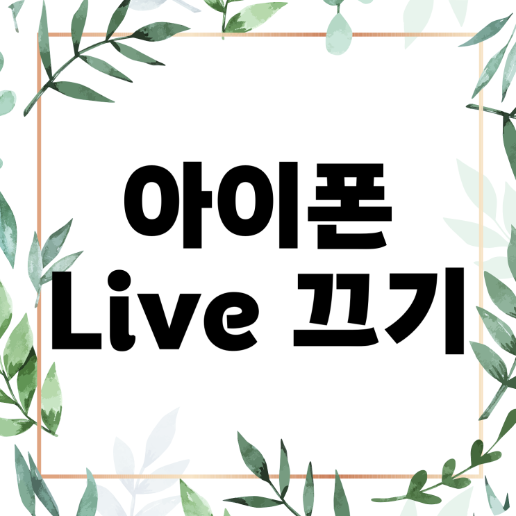 아이폰 카메라 라이브 끄기 설정 아이폰 카메라 라이브 끄기 설정