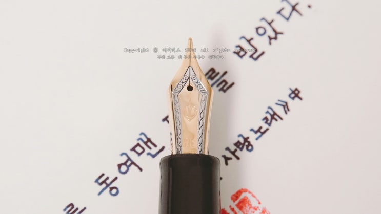  편지를 받았다 (세일러 프로기어 21K M닙 만년필로 필사하기)