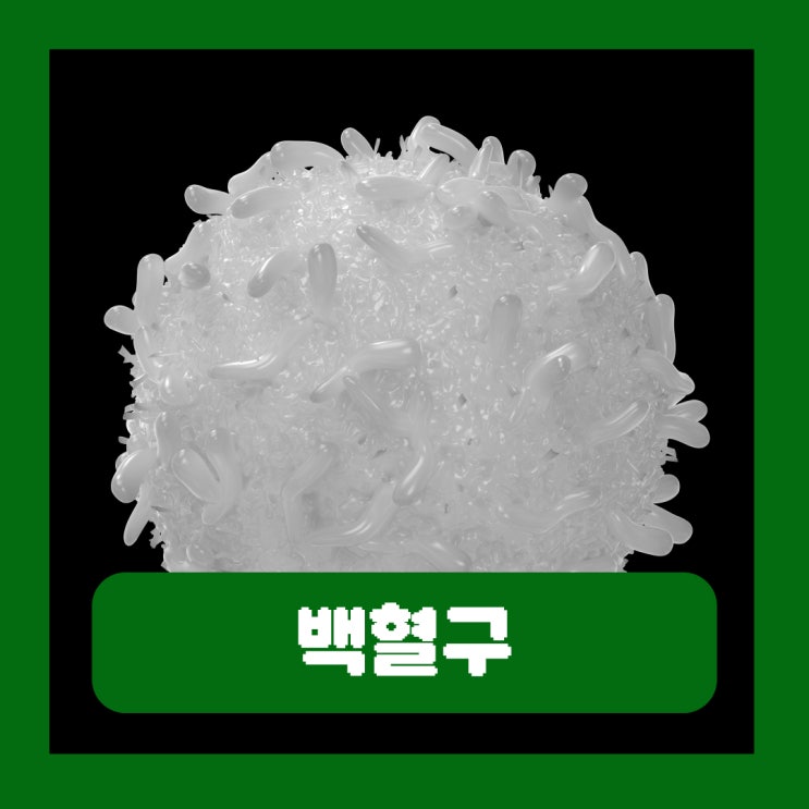  백혈구 수치 낮으면 음식 증상 정상수치