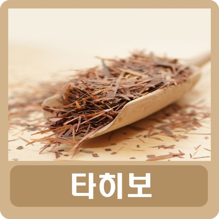 타히보 효능 타히보차 부작용 분말 먹는 법